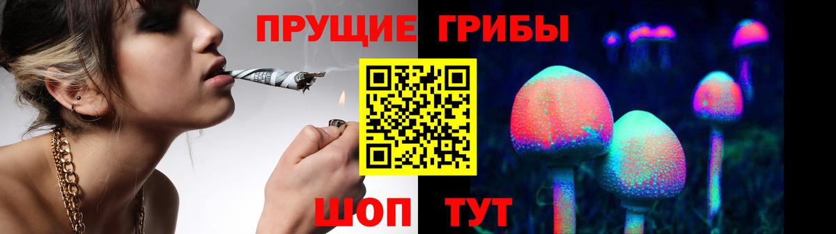 купить  сайты  Вход с VPN  Артём  Галлюциногенные грибы мицелий 