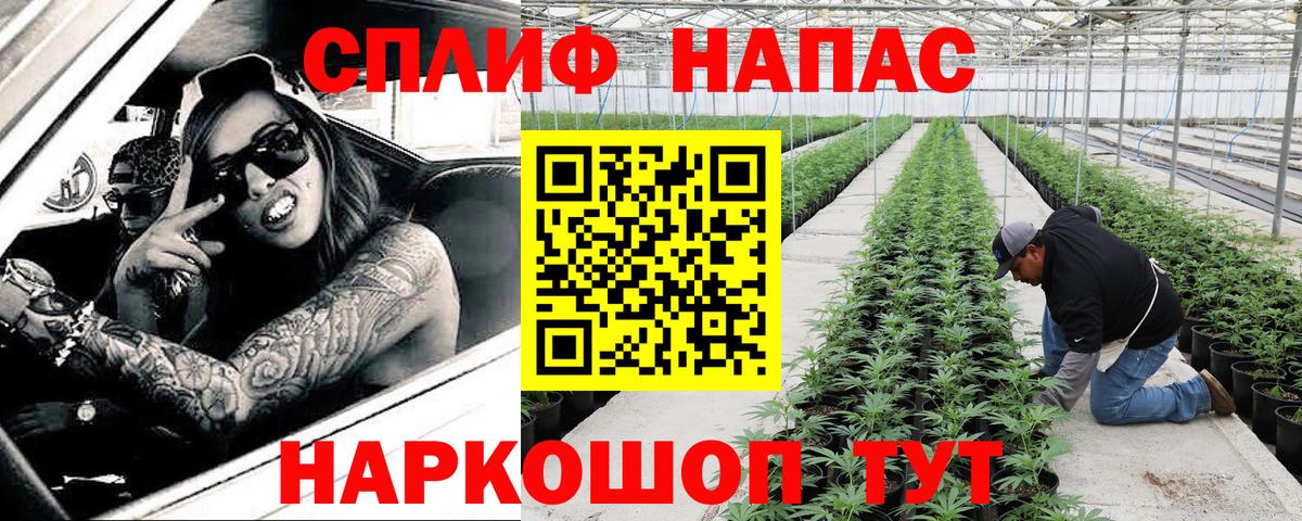 Артём  Канабис план  Канабис семена  Вход с VPN 